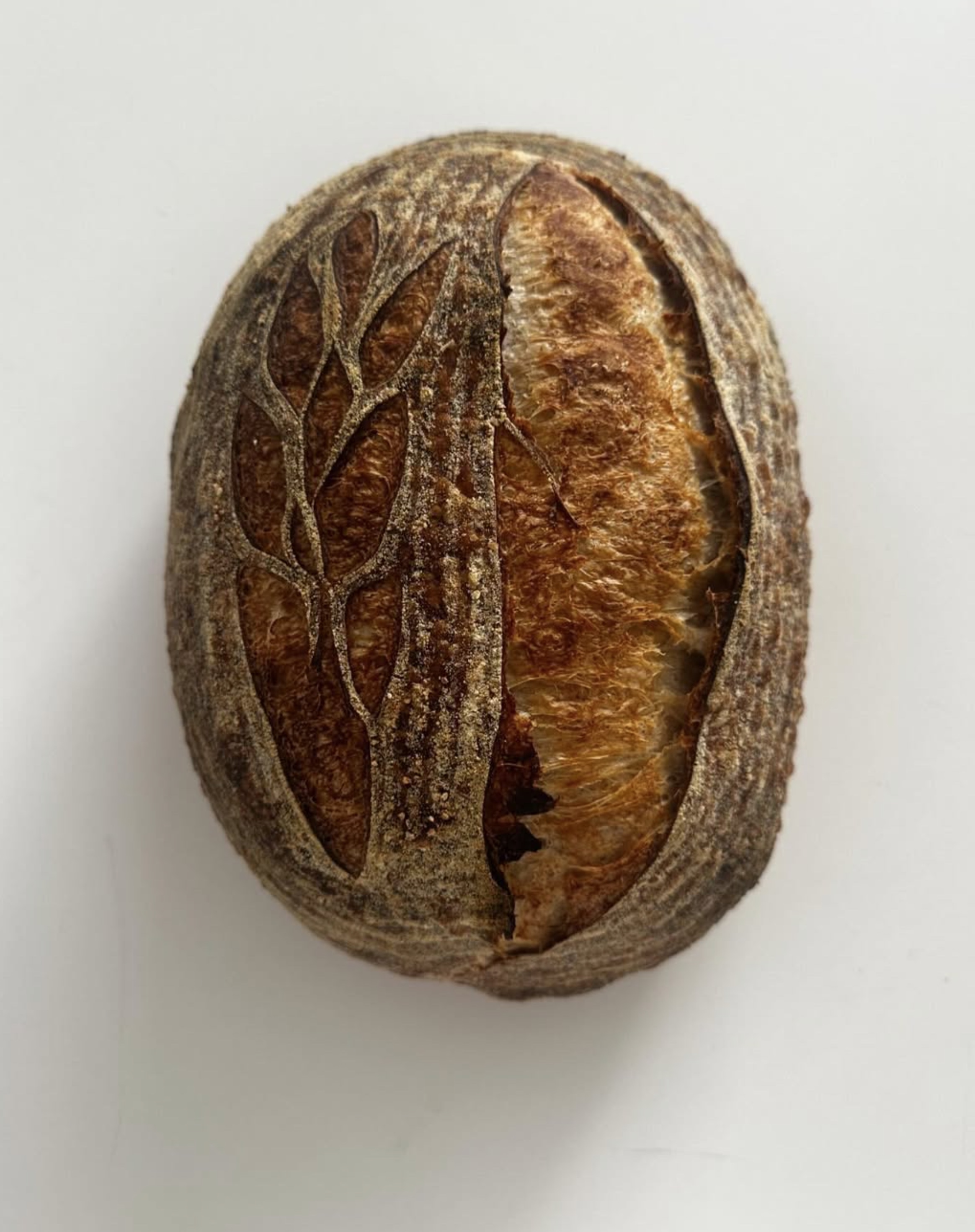 Sourdough thumbnail